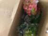 Artificial Flower Hanging Baskets - 4