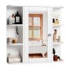 VINGLI 6.5D x 23.6W x 22.4H Wall Mounted Medicine Cabinet with 6 Open Curved Shelves