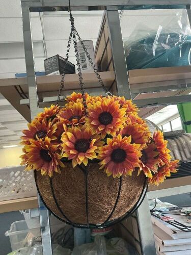 Sunflower Hanging Basket