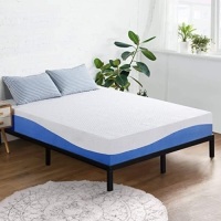 Olee Sleep Aquarius 10-Inch Memory Foam Mattress&nbsp;