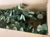 Nearly Natural 72 in. Green Artificial Eucalyptus Tree in White Decorative Planter - 3