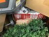Pallet of Mixed Condition HD Items - 2