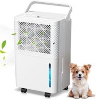 22 pt. Dehumidifier For Rooms 1001-1500 sq. ft