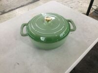 Enamel Cast Iron Dutch Oven - Enamel Peeling
