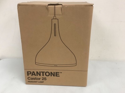 Pantone Castor 25 Pendant Lamp, Appears New