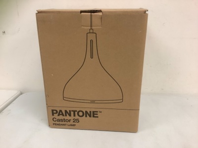 Pantone Castor 25 Pendant Lamp, Appears New