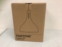 Pantone Castor 25 Pendant Lamp, Appears New