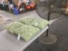 Greendale Home Fashions Grass Lattice Square Outdoor Throw Pillow (4-Pack) - 3