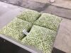 Greendale Home Fashions Grass Lattice Square Outdoor Throw Pillow (4-Pack) - 4