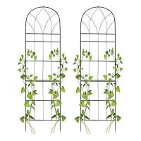 15.7-in W x 58-in H 2 Pack Steel Garden Trellis