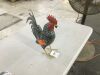 Evergreen 14 in. H Metal Rooster with Dark Feathers Garden Statue - 2
