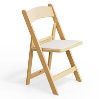 VINGLI 1-Pc Resin Folding Chair with Cushion