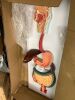 Axis Scientific Human Digestive System Model - 2