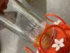 Nature's Way Orange Blossom Glass Oriole Feeder with Jelly Attachments 30 oz. - 4