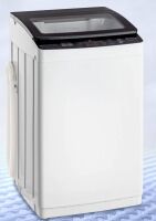 30lbs Full-Automatic Portable Washer