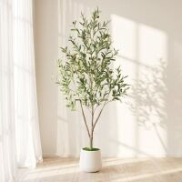 5 FT Tall Faux Olive Trees