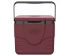 Coleman Chiller 9-qt. Portable Cooler