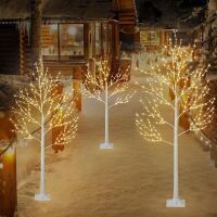 Lighted Birch Tree Set, 3 pc