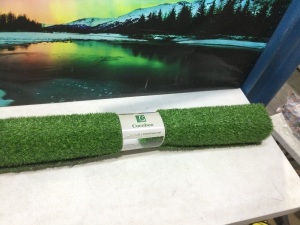 Cocoboo 3' x 5' Artificial Grass Turf 