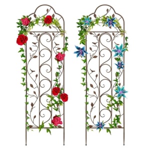 Set of 2 Iron Arched Garden Trellis, 52" 