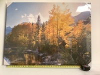 Fall Mountains Wall Decor, Appears New