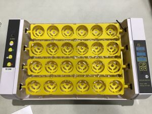 24A Automatic Mini Egg Incubator 