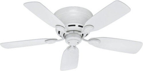Hunter Indoor Low Profile IV Ceiling Fan with Pull Chain Control, 42"&nbsp;