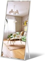 Aluminum Alloy Thickened Frame-65 x22, Full Length Mirror Silver Frame. Appears New