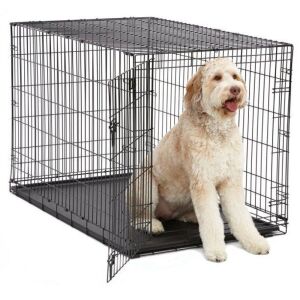 MidWest Single Door iCrate Metal Dog Crate, 48"