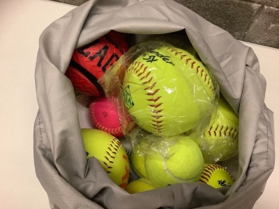 Misc. bag of sports balls