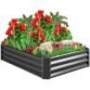 Outdoor Metal Raised Garden Bed&nbsp;- 4x3x1ft