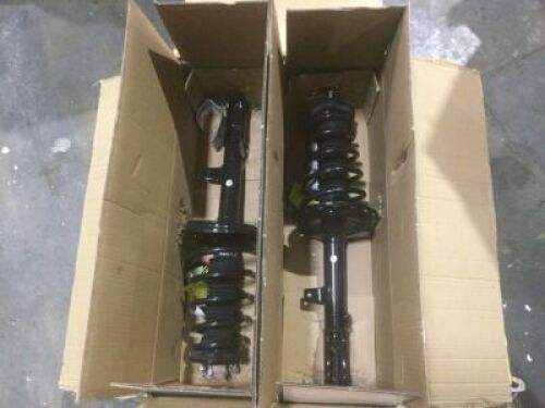 Unity&nbsp;Rear&nbsp;Complete Strut Assembly, 15901 & 15902