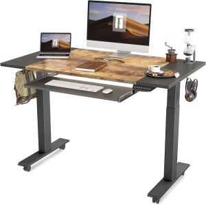 FEZIBO Dual Motor Height Adjustable Electric Standing Desk with Keyboard Tray, 48 x 24 Inch 