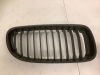 Lot of (2) BMW Grill, Appears New