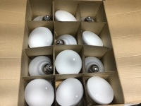 Philips 65-Watt BR40 Incandescent Flood Light Bulb Soft White (2700K) (12-Pack).&nbsp;