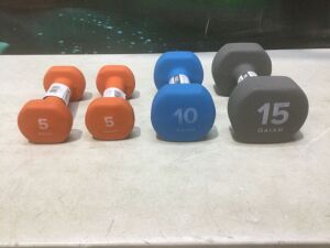 Lot of (4) Hand Weights 