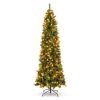 6' Pre-Lit Spruce Pencil Christmas Tree w/ Berries, Pine Cones