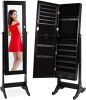 Full Length Standing Jewelry Mirror Armoire w/ Velvet Interior