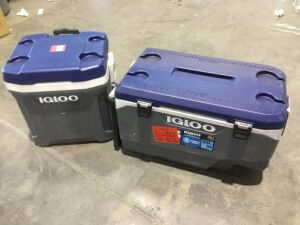 Lot of (2) Igloo Coolers 