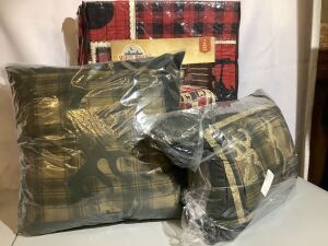 Northern Trail Twin Quilt Set, with 2 pillows, Appears New