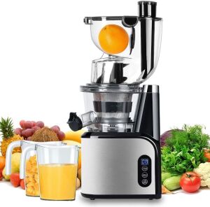 Aobosi Slow Masticating Juicer, 3.15" Wide Chute 