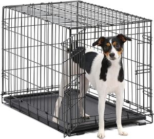 MidWest Homes for Pets iCrate, Single Door Medium Dog Crate, 30" x 19" x 21" 