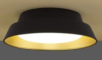 Ceiling Light Fixture, Appears New