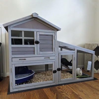 Weather Resistant Rabbit Hutch with Ramp 