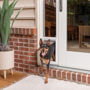 PetSafe Sliding Glass Pet Door 