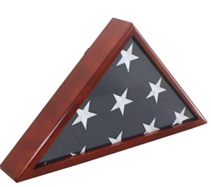 Memorial Flag Case Frame, Appears New