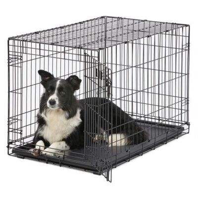 MidWest Single Door iCrate Metal Dog Crate, 36"