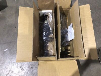 Set of 2 Strut Assemblies, Unknown Fit 