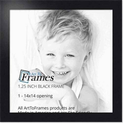 (3) 14 x 14 Hanging Picture Frames. (2) Black, (1) White.&nbsp;