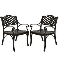 Elecwish Cast Aluminum Outdoor Bistro Dining Chairs, Set of 2